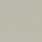 Preview: Bulletin board oyster shell 6 mm